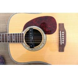 ( Semi ) akoestisch gitaar
