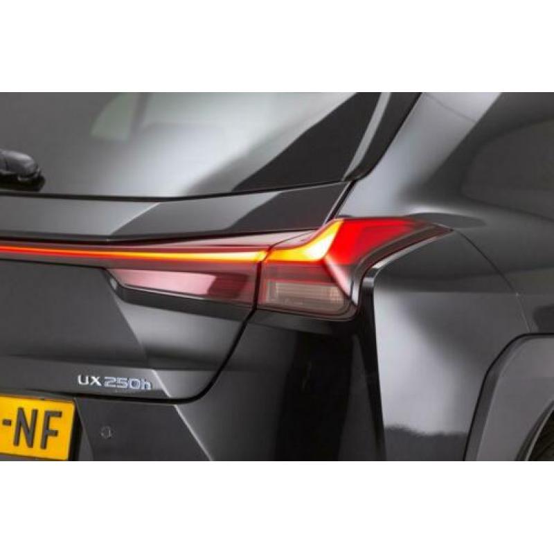Lexus UX 250H First Edition | Navigatie | Elektrische Achter