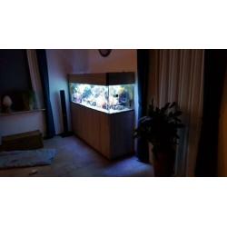 Leeg Zeeaquarium 1.8×0.5×0.5