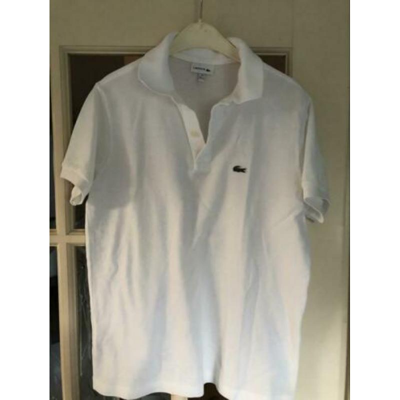 Polo+shirt Lacoste (164)