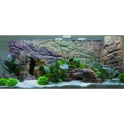 Thin Aquarium/Terrarium achterwand. 120x60 cm.