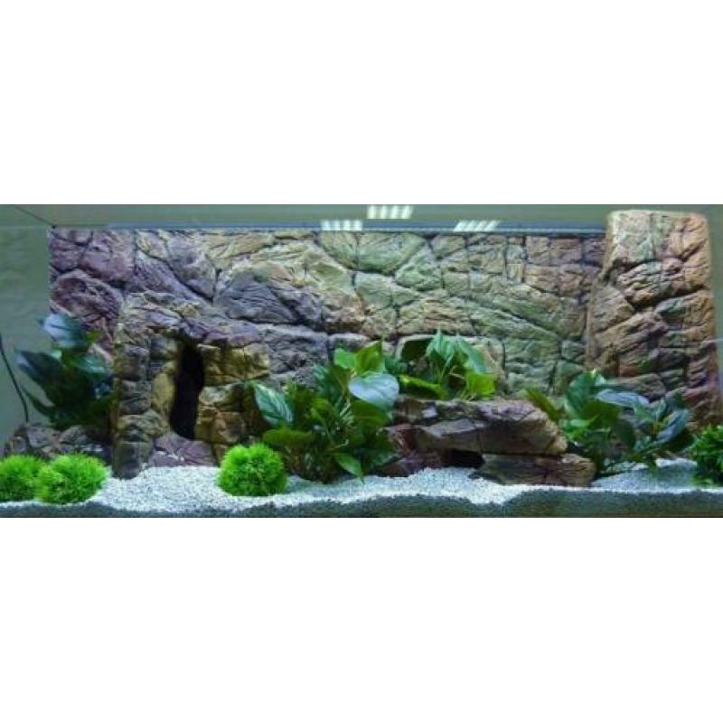 Thin Aquarium/Terrarium achterwand. 120x60 cm.