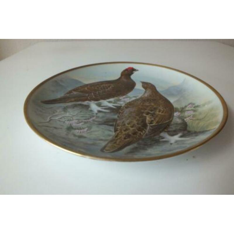 Oud bord "schotse sneeuw hoen" franklin pocelein,