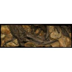 Aquarium 3D achterwand polyester "Amazone'' 100x60cm