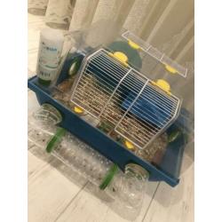 Hamster te koop met kooi speelgoed hooi voedsel enz