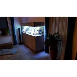 Leeg Zeeaquarium 1.8×0.5×0.5