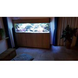 Leeg Zeeaquarium 1.8×0.5×0.5