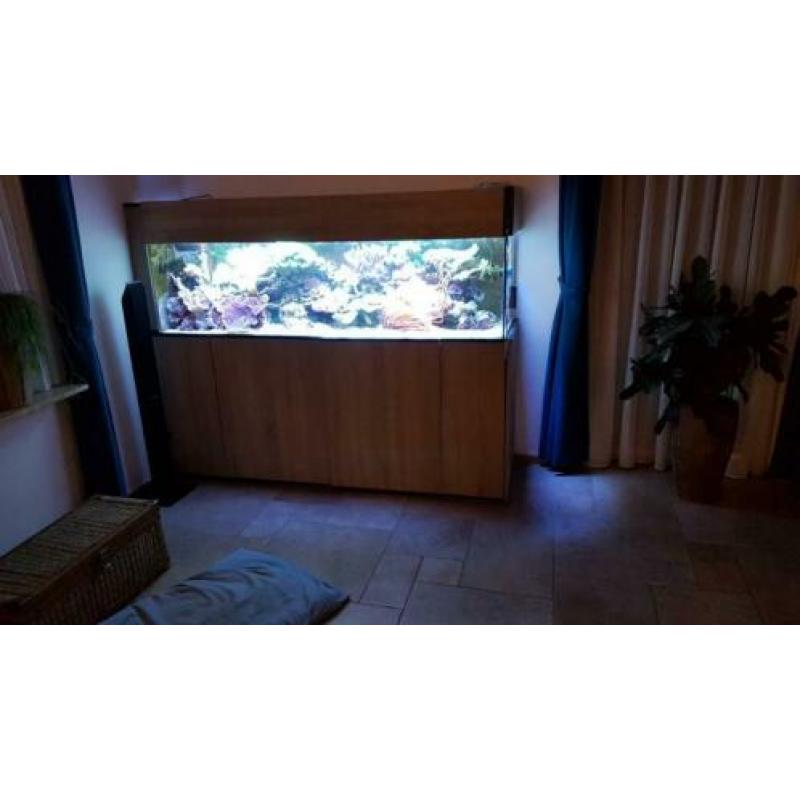 Leeg Zeeaquarium 1.8×0.5×0.5