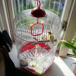 Vogels met De kooi