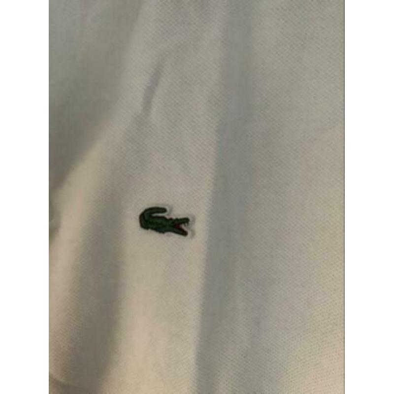 Polo+shirt Lacoste (164)