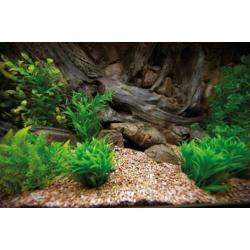 Aquarium 3D achterwand polyester "Amazone'' 100x60cm