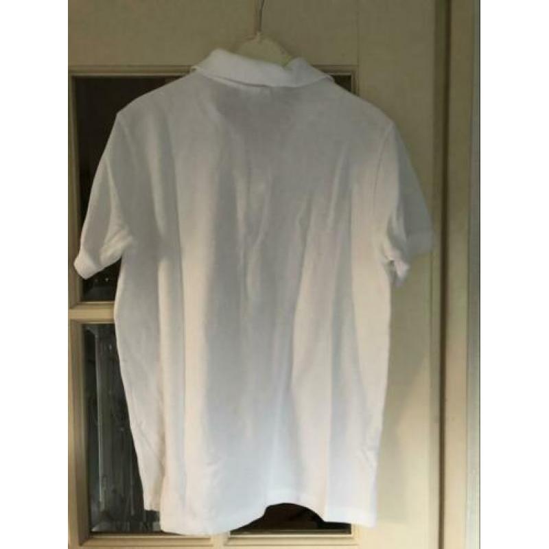 Polo+shirt Lacoste (164)