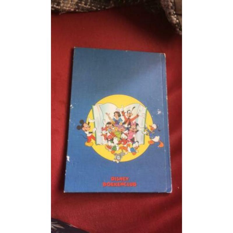 Disney boek 101 schatschravers