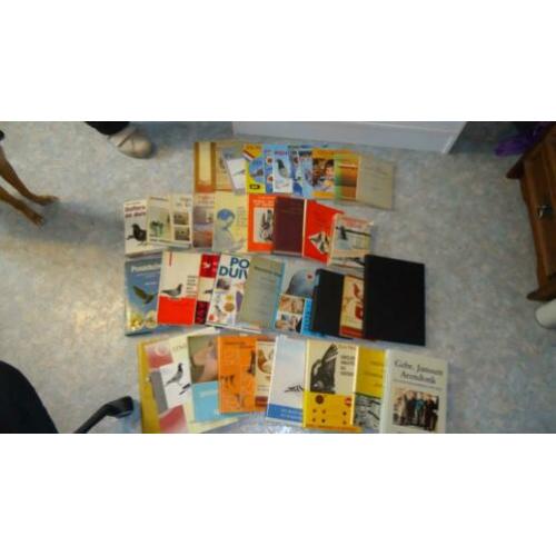 duivenboeken