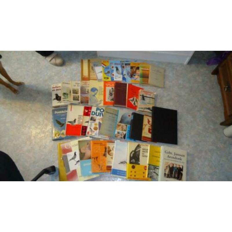 duivenboeken