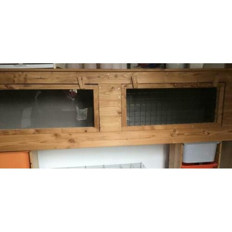 Groot cavia verblijf