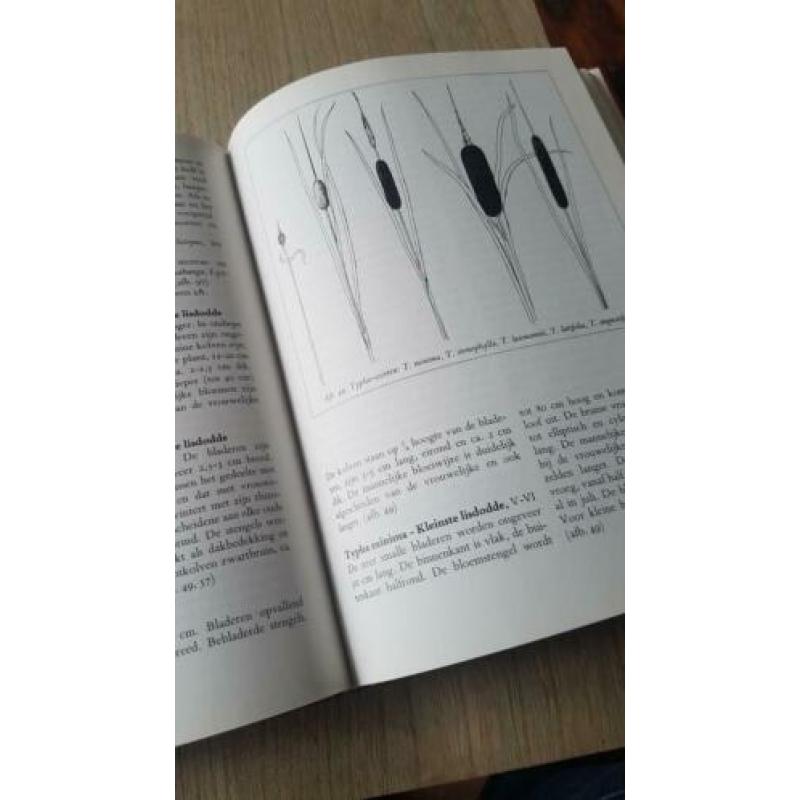 De watertuin door Karl Wachter. Vijverboek.