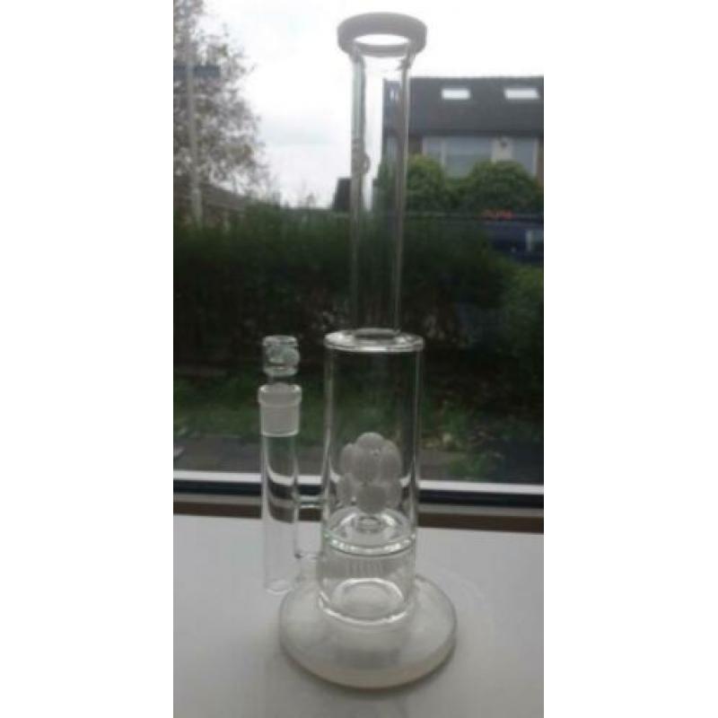 Bong Bongo Waterpijp Multi Mushrooms