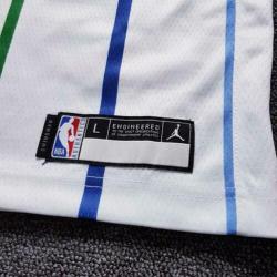 NBA jersey Charlotte Hornets maat S swingman