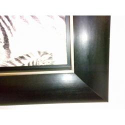 Zebra (in zwarte lijst)