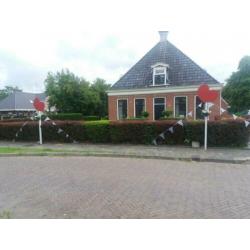 Straatversiering 50x, fryslan, pompebleden