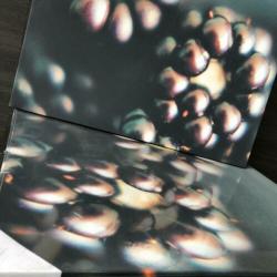 Canvas Art Graham & Brown (inkoop)