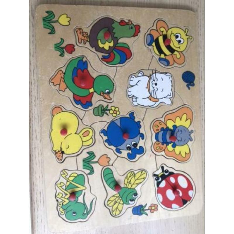 Houten puzzels 6 stuks