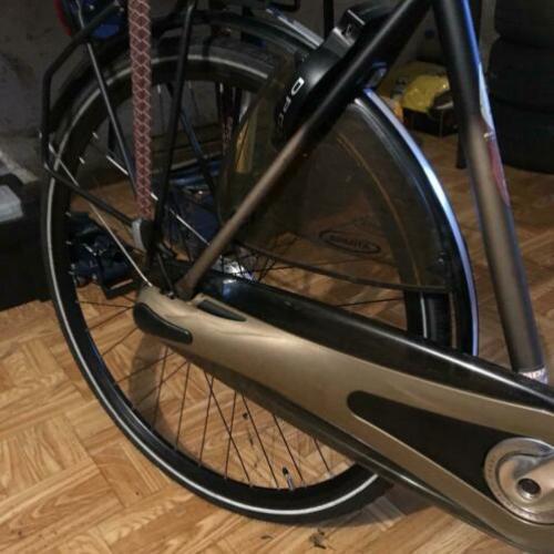 Sparta Pallas H54