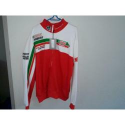 honda - racing - ten kate - pirelli - castrol - team - motor
