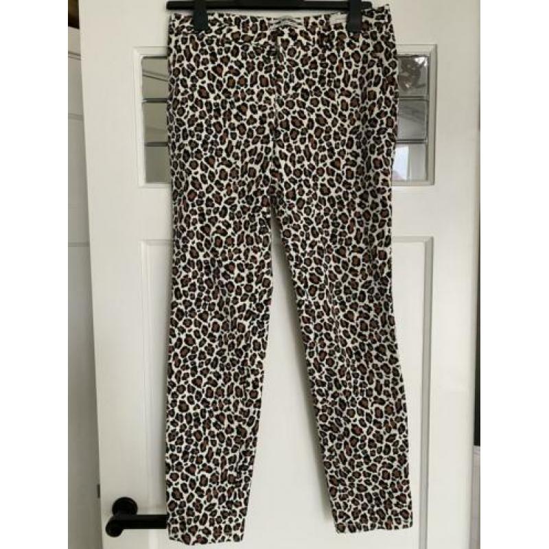 Broek dierenprint Scotch&Soda (W28/L32)