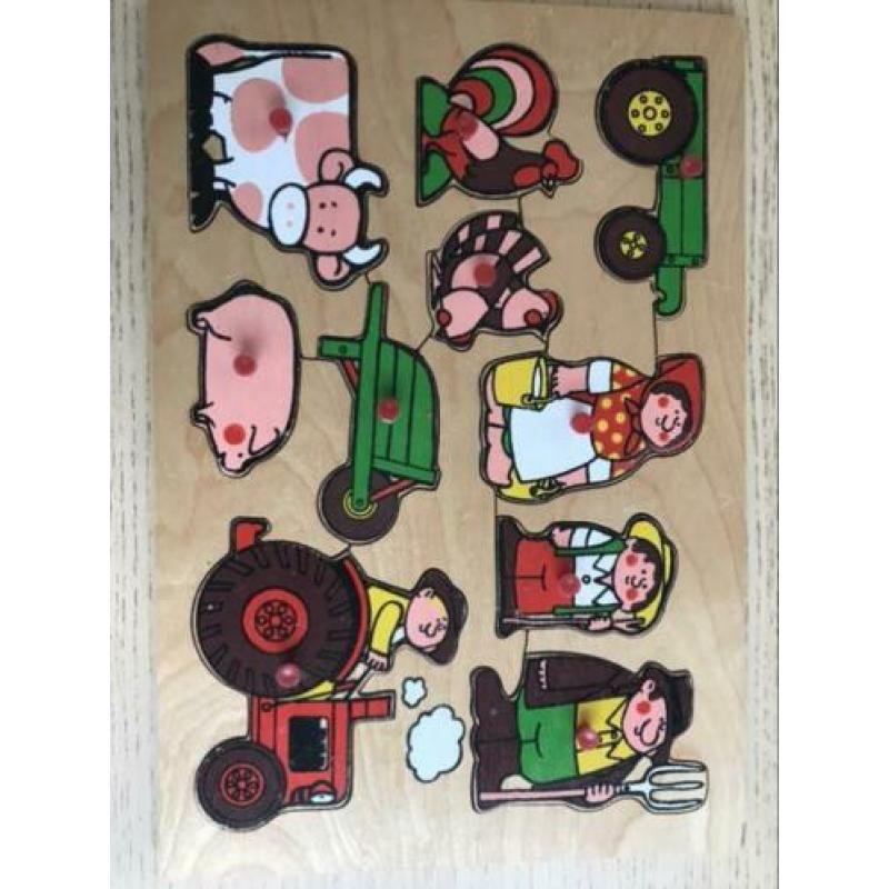 Houten puzzels 6 stuks