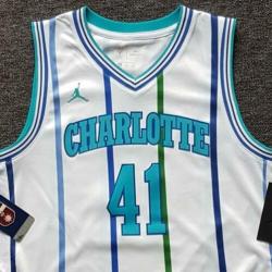 NBA jersey Charlotte Hornets maat S swingman