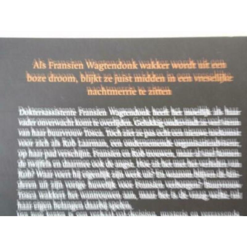 Twee thrillers van Nederlandse schrijvers