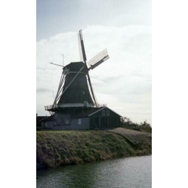 Rollei XF 35