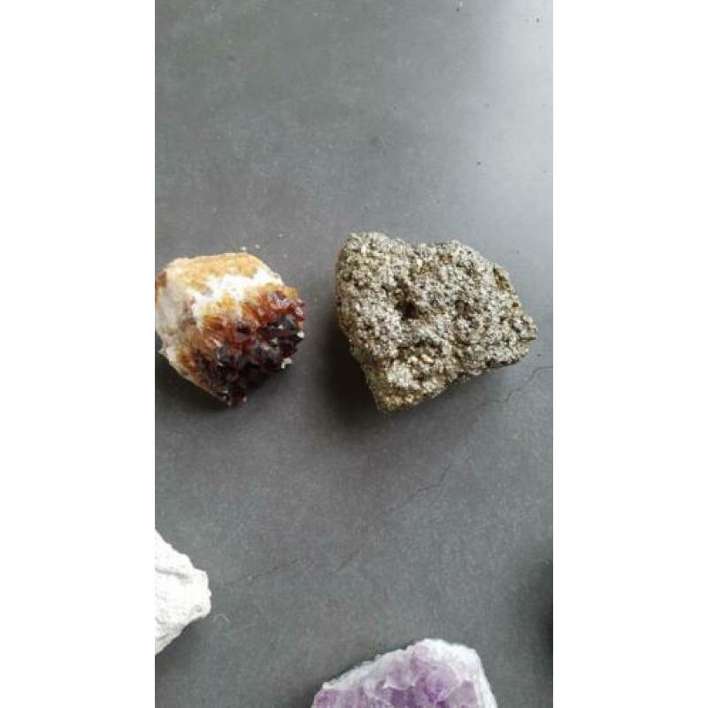 Verzameling van mooie partij stenen / fossielen.
