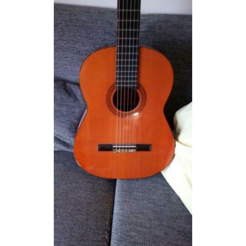 GOYA akoestische gitaar mooi warm geluid