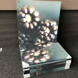 Canvas Art Graham & Brown (inkoop)