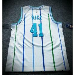 NBA jersey Charlotte Hornets maat S swingman