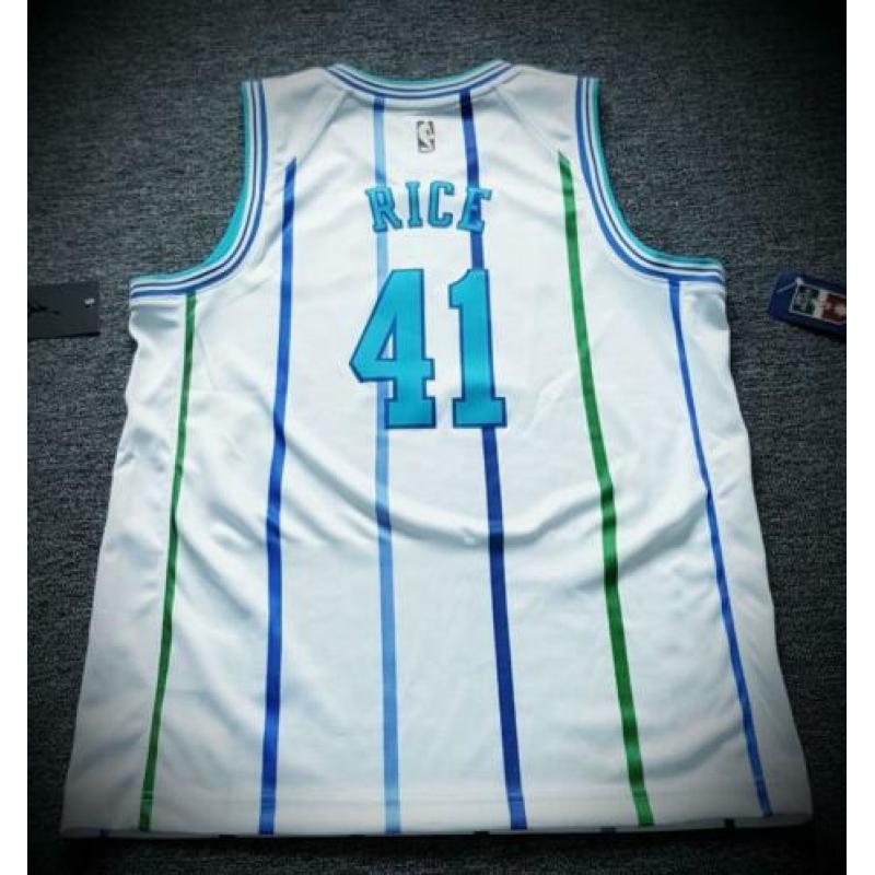 NBA jersey Charlotte Hornets maat S swingman