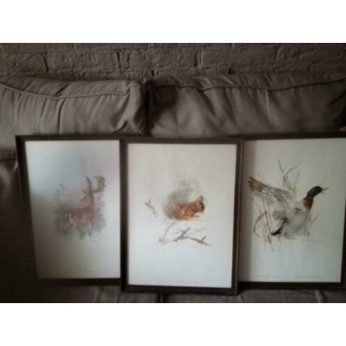 3 prachtige vintage schilderijen"Stenders Forlag Denmark" *