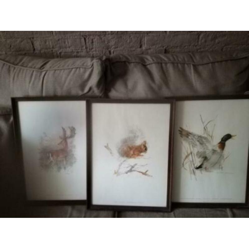 3 prachtige vintage schilderijen"Stenders Forlag Denmark" *