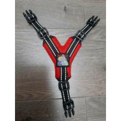 honden accessoiees