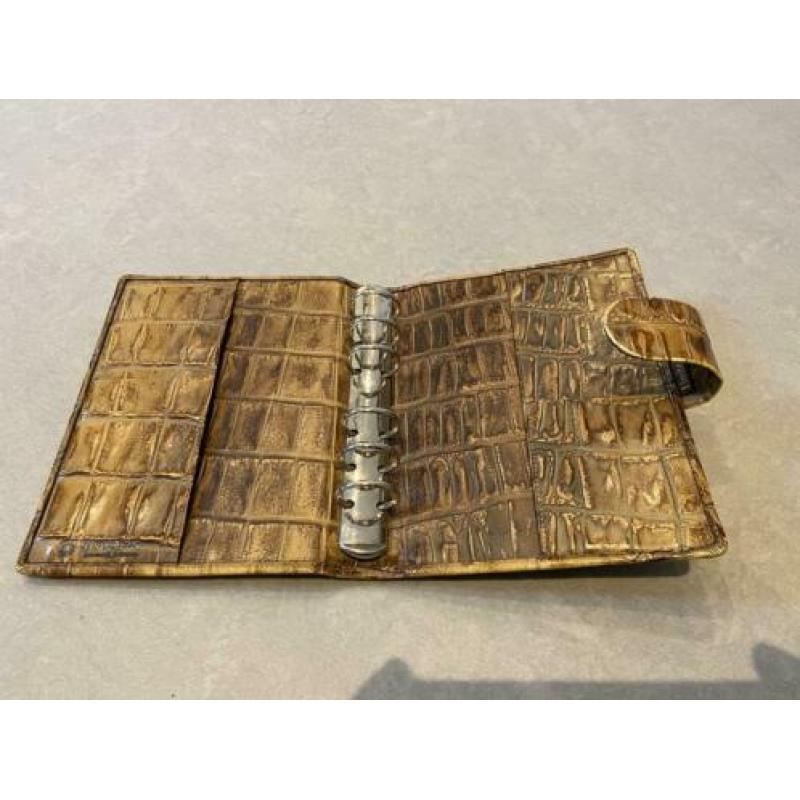 Krokodil look succes agenda senior
