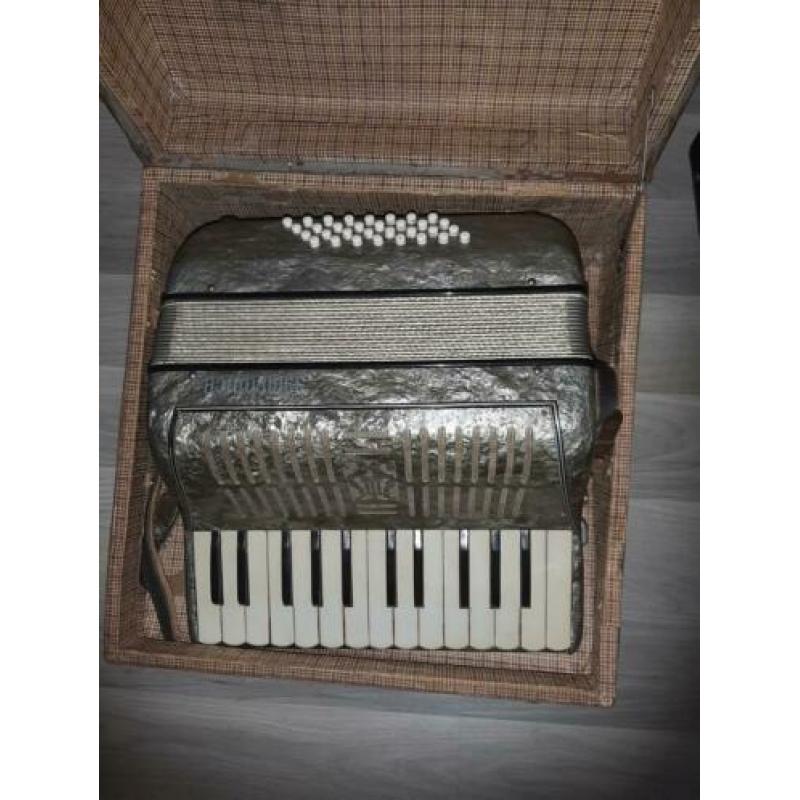 castelfidordo accordion