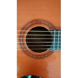 GOYA akoestische gitaar mooi warm geluid