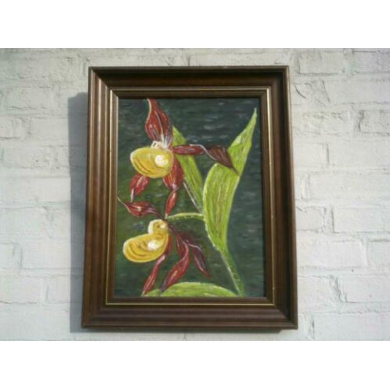 schilderijen 6 st (acryl + olieverf)