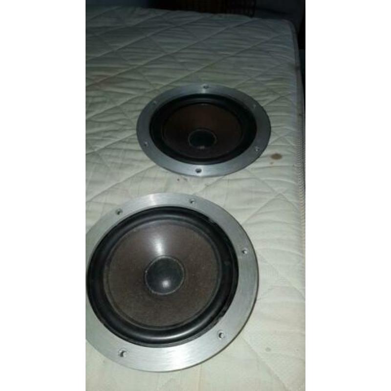 Te koop: twee mooie woofers met mooie sierringen,