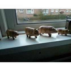 Antieke spaarvarkens