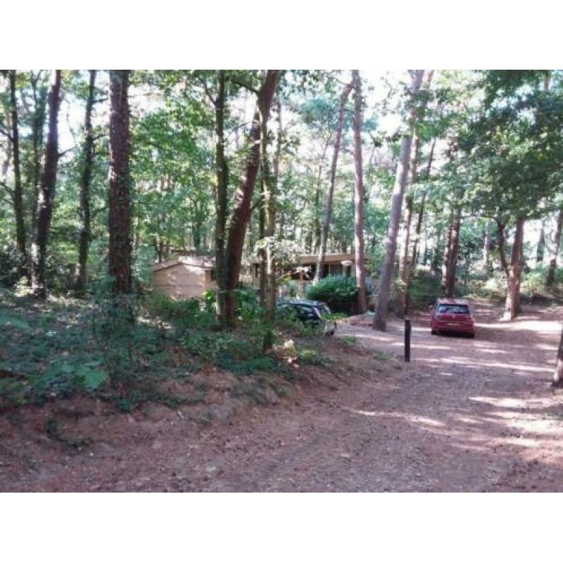 ** Luxe Chalet ** te koop ** LIMBURG ** BOS - 3 slaapkamers