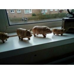 Antieke spaarvarkens